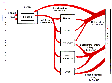 图4 供血系统